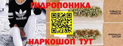 гашиш Камышлов