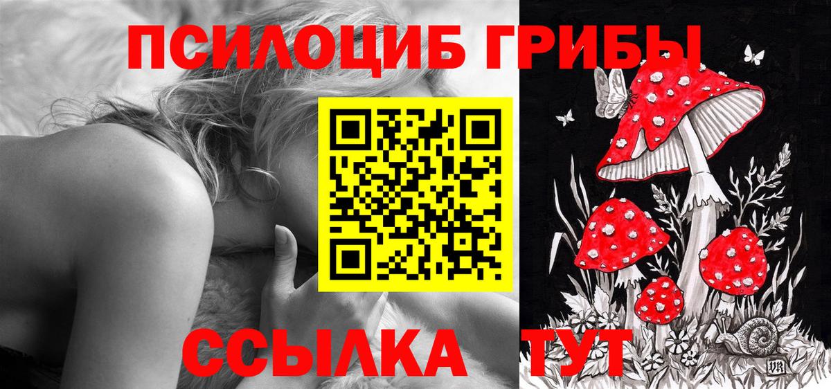 Луховицы  купить  цена  Вход с VPN  Псилоцибиновые грибы Cubensis  Псилоцибиновые грибы Psilocybe 